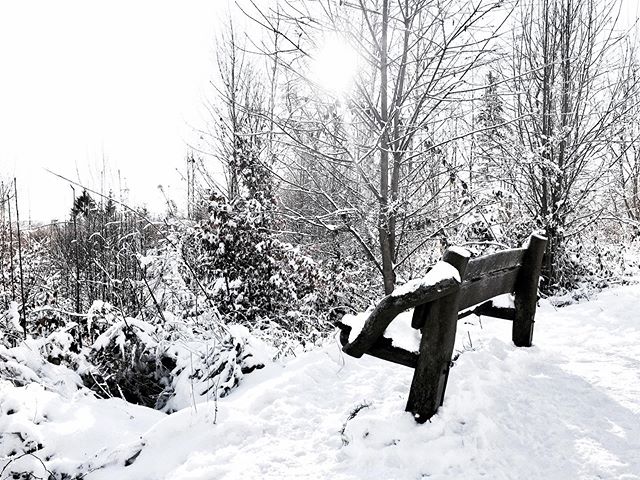 H a p p y  n e w  w e e k ‘Take only memories. Leave only footprints.’  (Ch. Seattle)..#letitsnow #january #waitingforsnow #naturephotography #happynewweek #allwhite #ifonlyitwouldsnow #winterdreams #tb #wintermagic #quotestagram #instaquote #picoftheday #qotd #snow #nature_perfection #winterwonderland #snowflakes #walkinthesnow #naturepicoftheday #winterdays #babyitscoldoutside #winterstyle #instablogger #frosty #beautifulnature #naturelovers #blogger_de #followmyinstagram